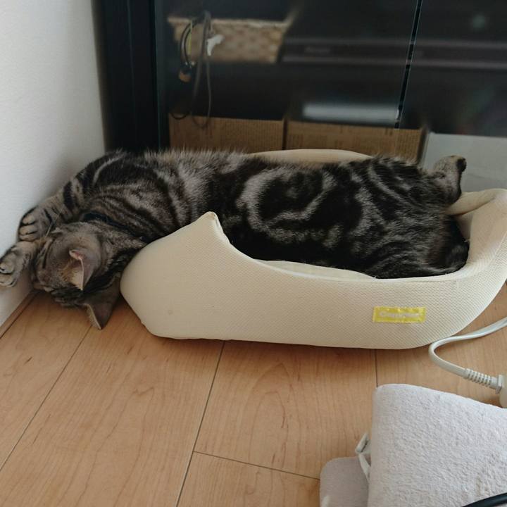 Dd823f0d 469d 48ca 8661 dd238cb17fdc