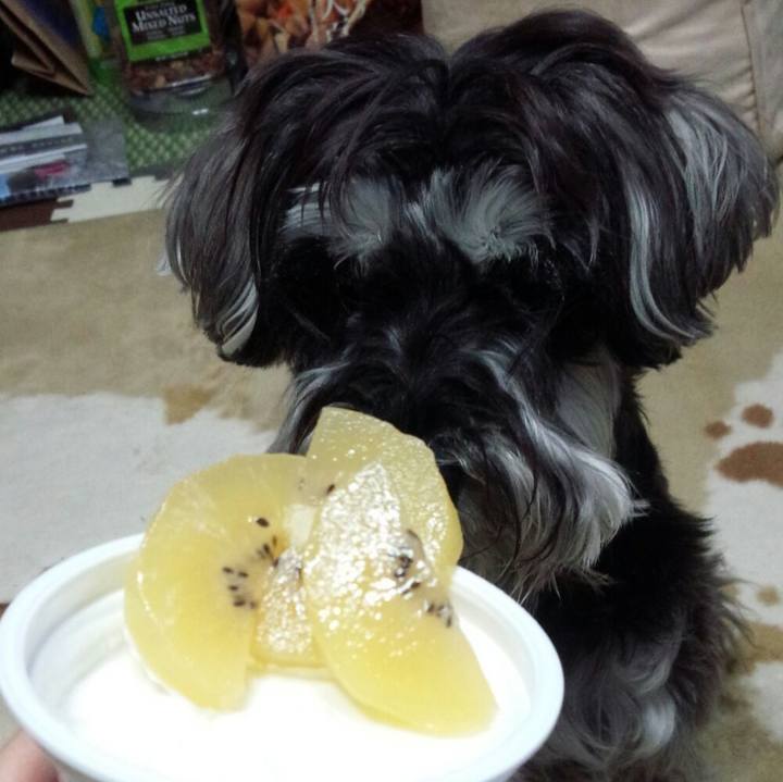 Dd824557 f5ed 4413 b185 7383b8b58bb7