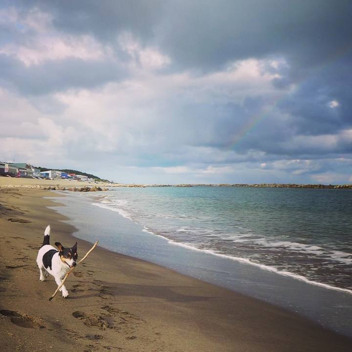 Dd83520d 005c 4f9f 9fc2 2ea2afba8ade