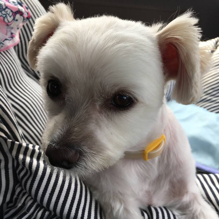 Dd836807 f2cb 445e 81aa e1492008c0a0