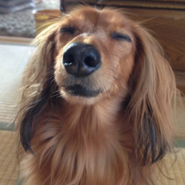 Dd837820 fce9 4b1a 8222 0c1d65732693