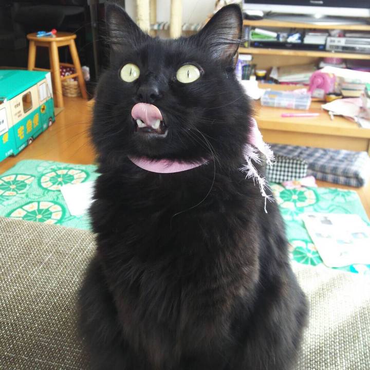 Dd83f7eb ea83 4df7 b62f 6ffcf8fb9ff8