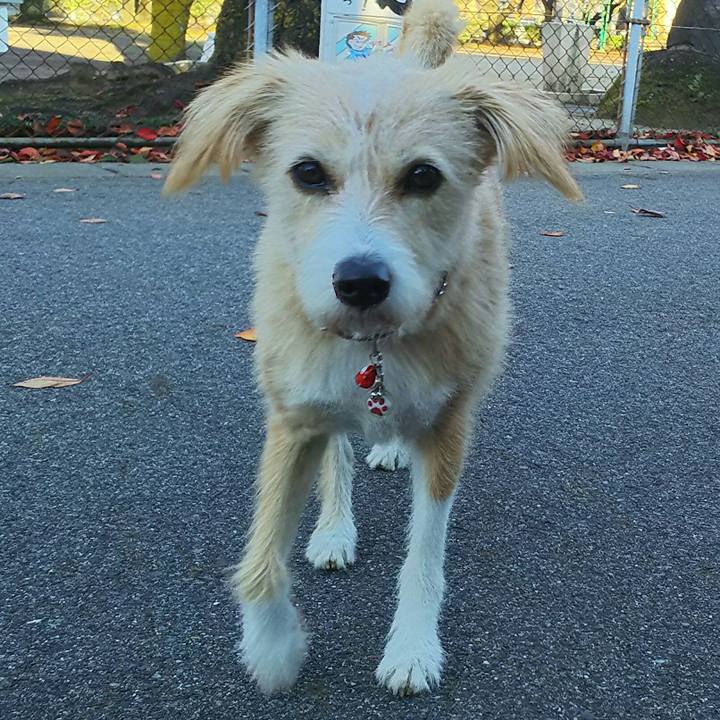 Dd844845 440b 4520 abc5 b1471bf9227c