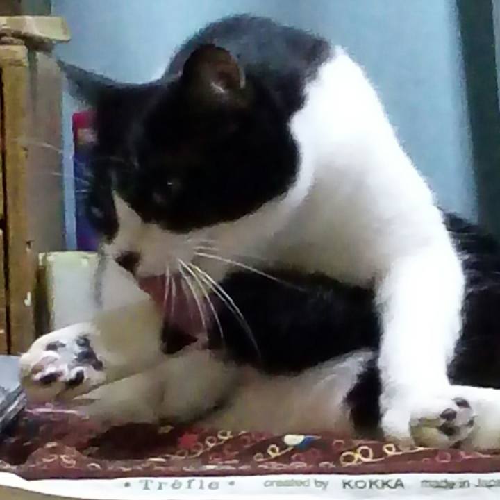 Dd849c48 8515 4e71 a570 e1f22965994b