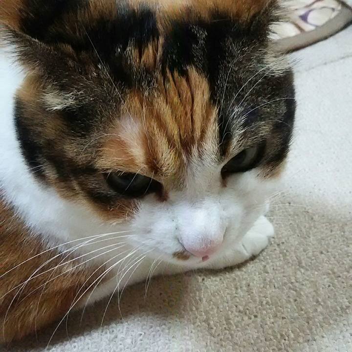 Dd84cea8 adf7 4916 8ece 79432024bb74