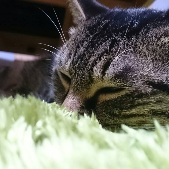 Dd84fcf0 5252 4318 9008 59eb26ebf6a2