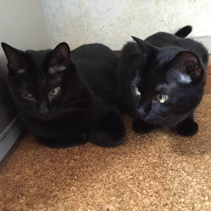 Dd84fe98 2ebb 4c87 9a8a 98b4f154202d