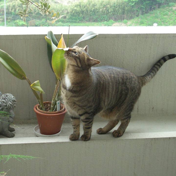 Dd856d7e 5da4 43f8 a170 a3d87e55a5f1