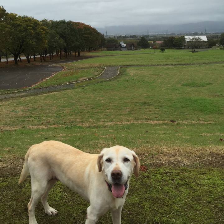 Dd859884 ac78 4a5d 8fc8 5487181799fb