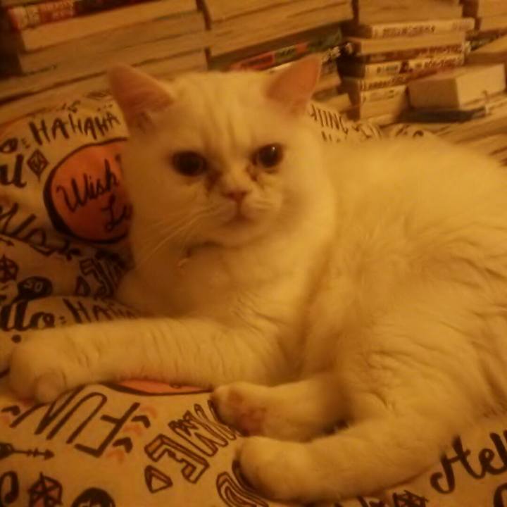 Dd85b67e 994c 4abf 8581 bc03bc6cf93a