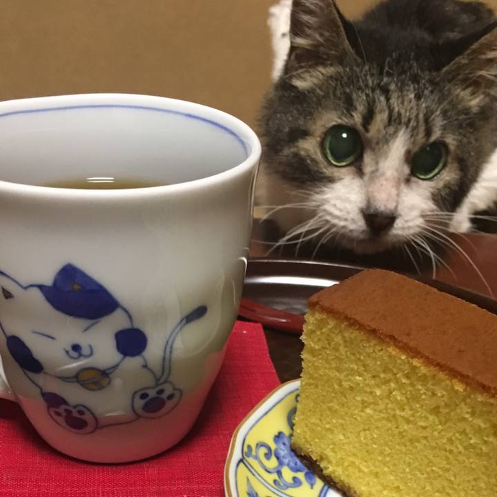 Dd8600a7 0587 49db a252 4b0a96f3ce03