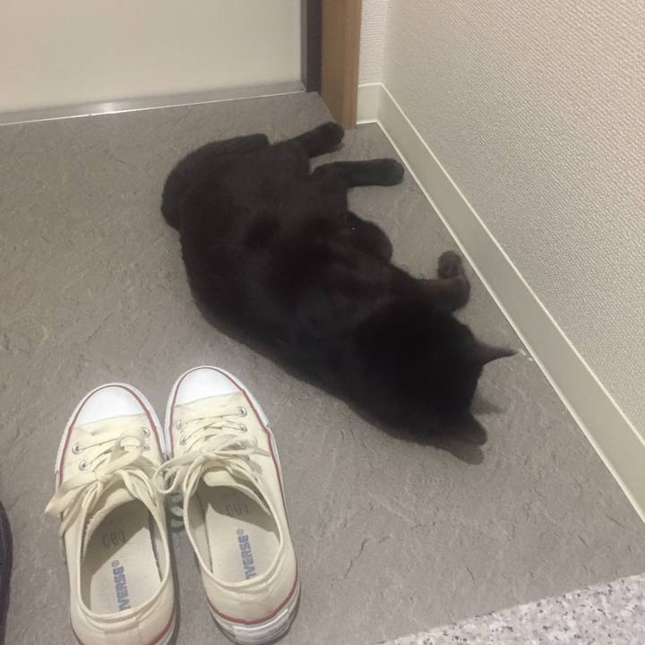 Dd8674f5 7ed2 4f65 a9f5 9feed6be5ae4