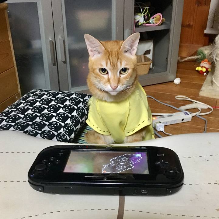 Dd86aa2b 1dc6 461f 967c 4a89e333bb0b