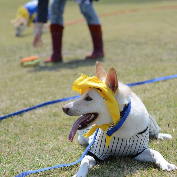 Dd86bbc4 8fbb 45ce 8728 c674badbfb14