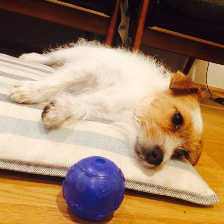 Dd87aeb1 48d3 4c91 a344 02455064c6dc