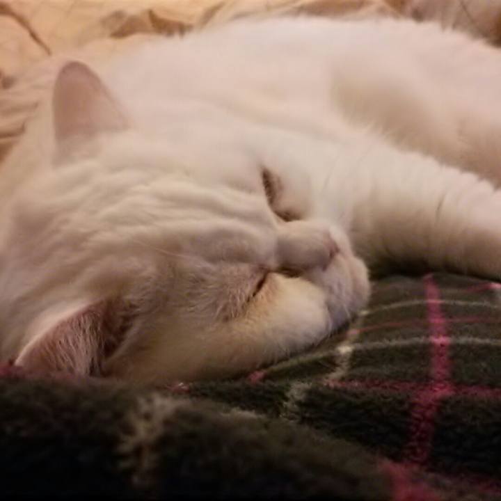 Dd885b92 35a6 40a9 a0db 93ce418142c0