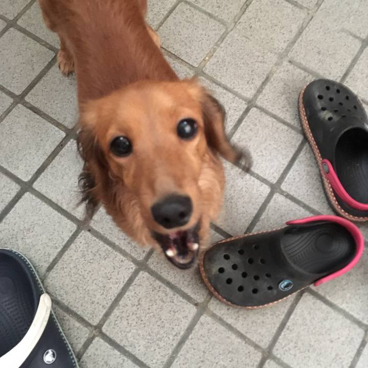 Dd8866d0 d31a 4ded ac76 baa666d9342d