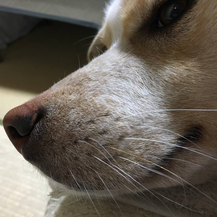 Dd886db0 5455 416c 86b7 04b5778e3b9d