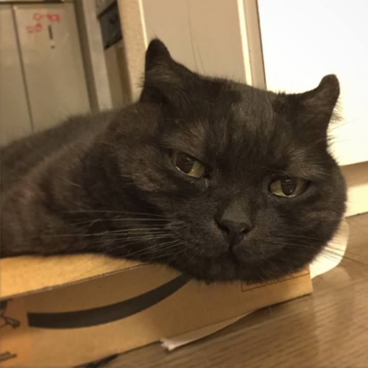 Dd88814f 909e 4bf1 ba65 5ac956ab871c