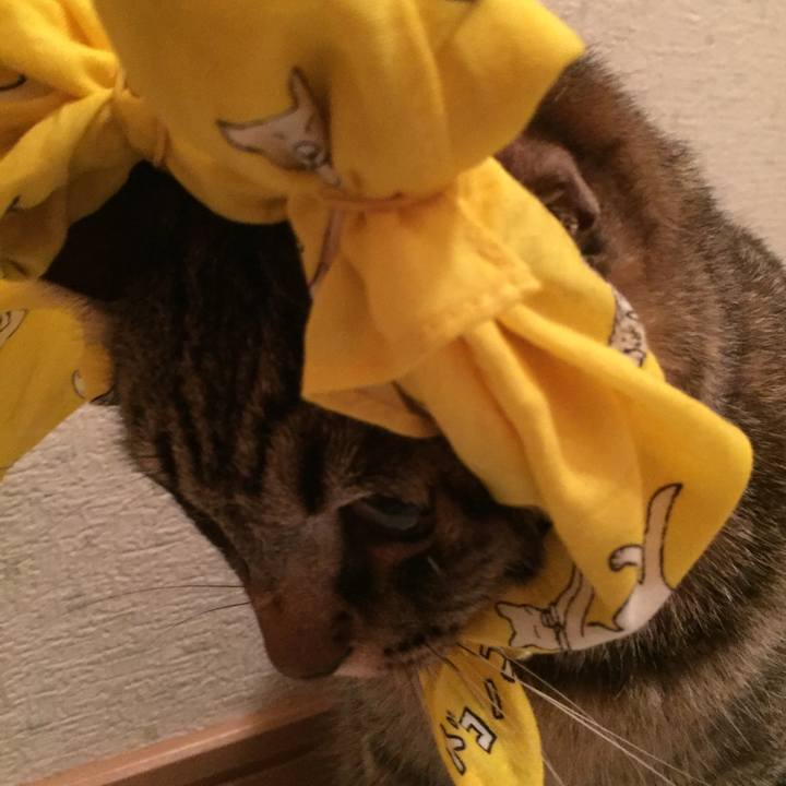 Dd889165 efbf 4388 83b9 dc2470ce0f5a