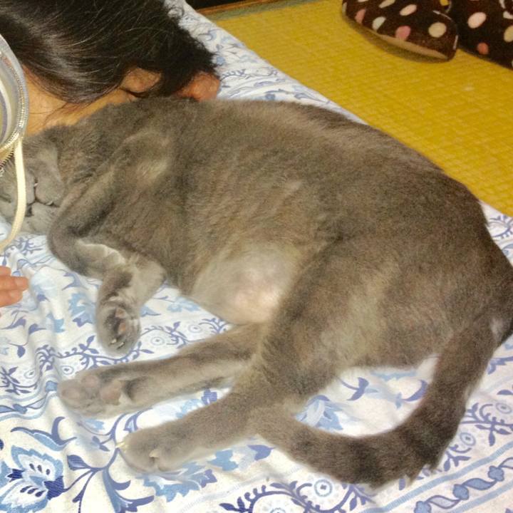 Dd89c356 4ed8 4130 991a e2fefa0aab3b