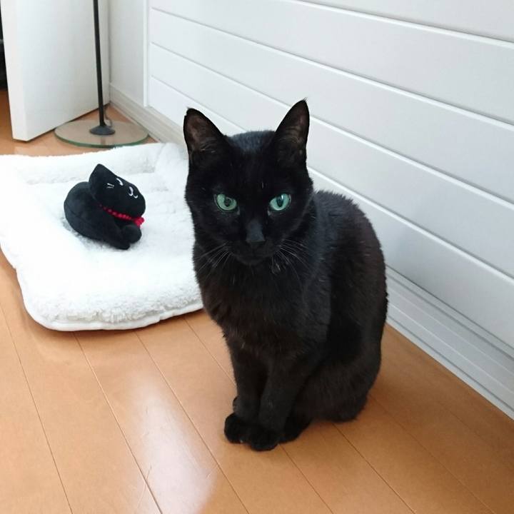 Dd8a0ace 1d98 4249 9edd 1b268f9207cf