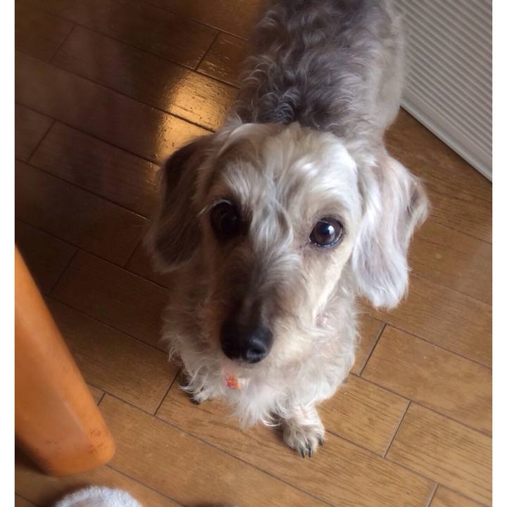 Dd8a9467 e7a4 456e a357 5cb2d8e3426e