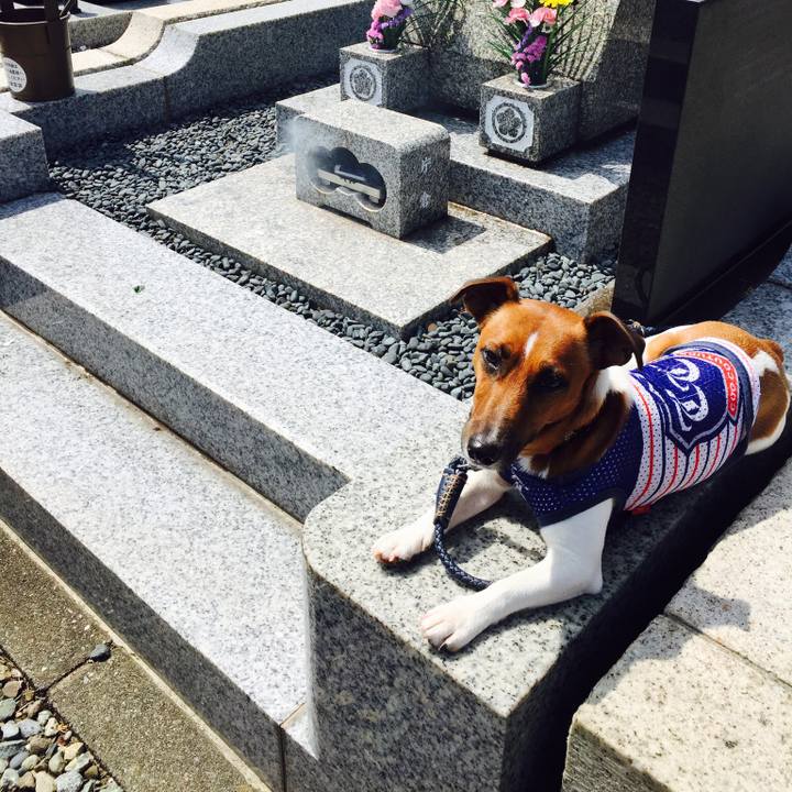 Dd8ad377 8c87 468f 9da6 ac9f1ee6642d