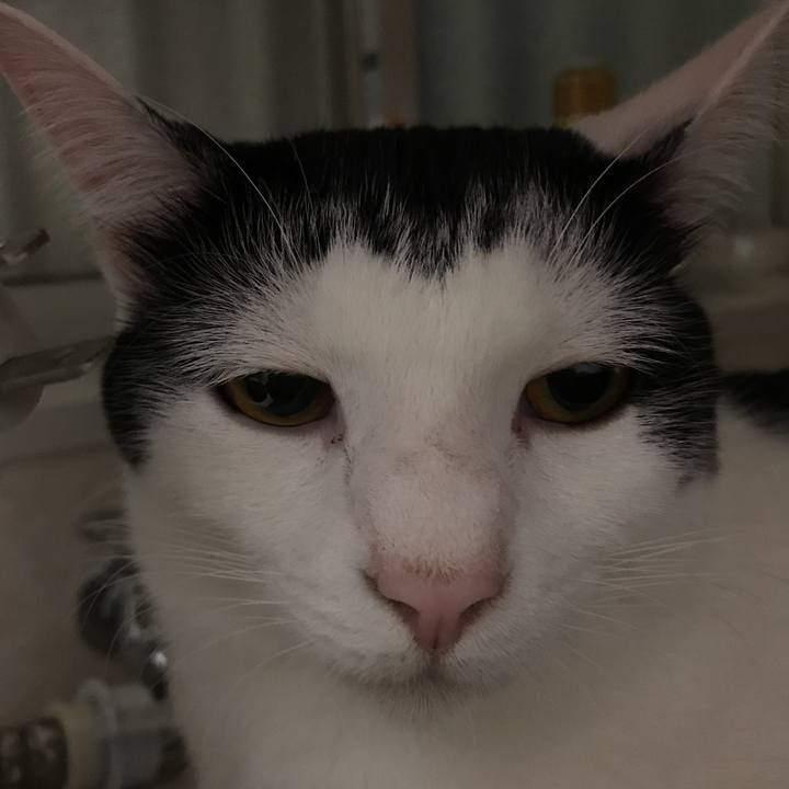 Dd8b9b61 6ad0 4899 bef8 fd83130c8493