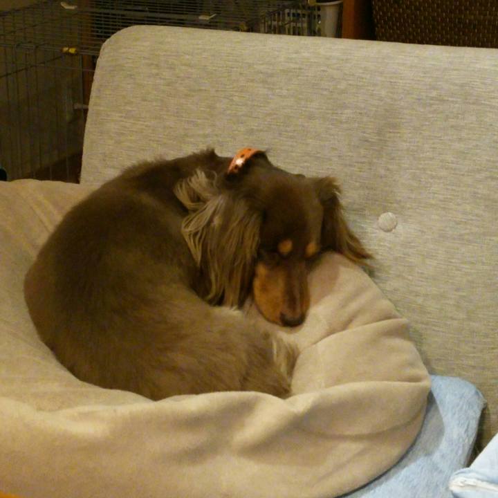 Dd8be654 9f23 4b80 ae59 f20e55f36bc4