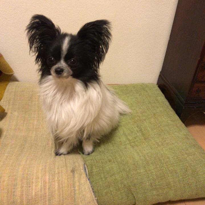 Dd8c3875 2408 4ade a651 1ea93febad77