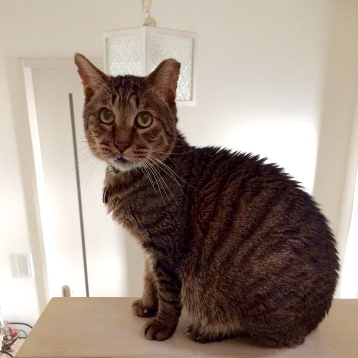 Dd8c47b2 9d58 4b85 8100 2e24c9317d20