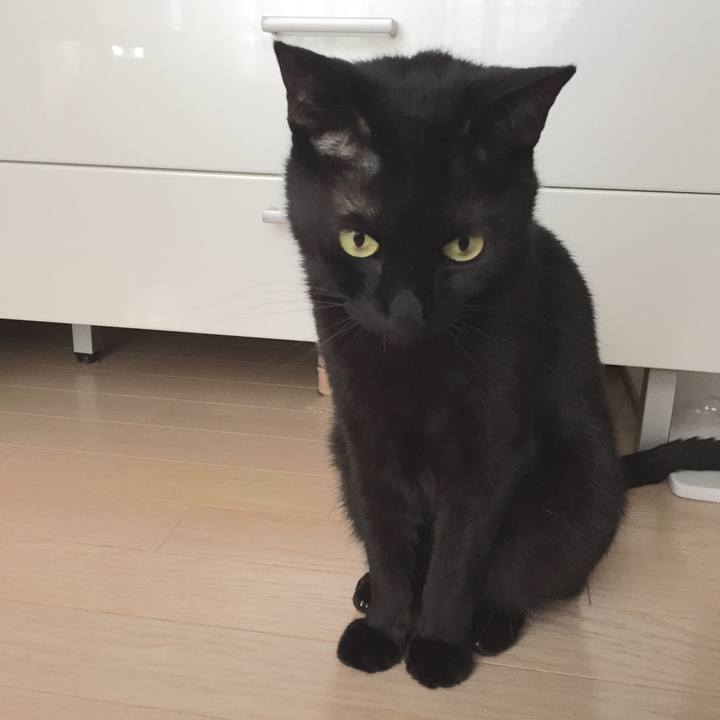 Dd8cf0a9 ac47 4446 938e 9318f373fd32