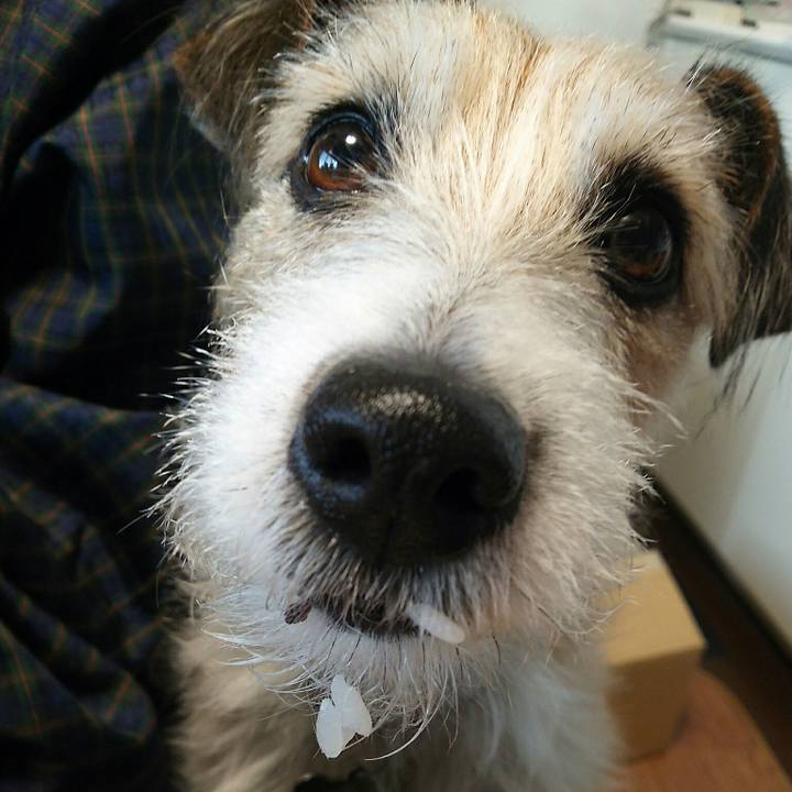 Dd8cf1f4 0573 4ccc 9e97 48660796e3b9