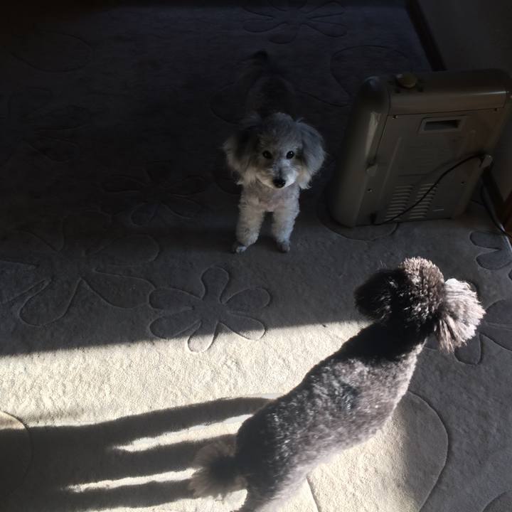 Dd8dae67 26b6 48b6 8af2 d0d1a90ee6db