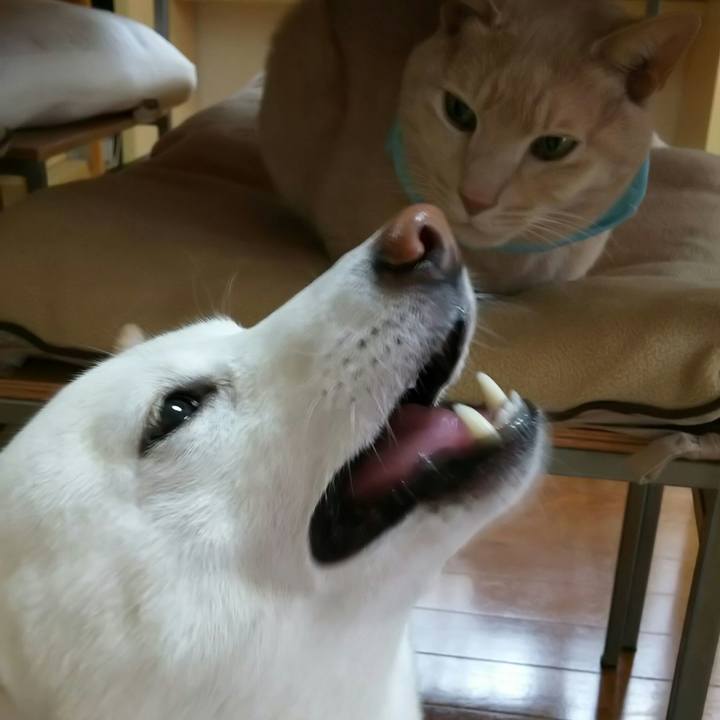 Dd8dfbb5 891c 46ca b9d8 37c1ce55b19f