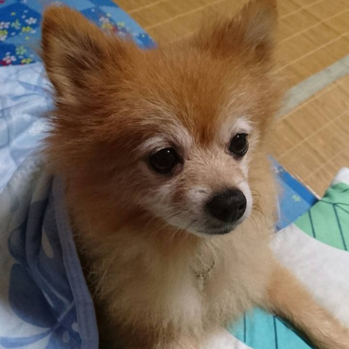 Dd8e6053 9df6 40fa a865 906989d96f81