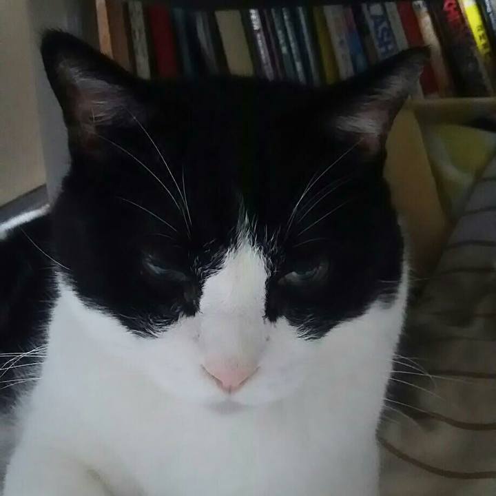 Dd8e81a0 2154 429e b0b9 df2915960654