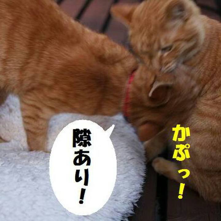 Dd8f1523 9fcd 4c5b b3a0 a2729a0b7597