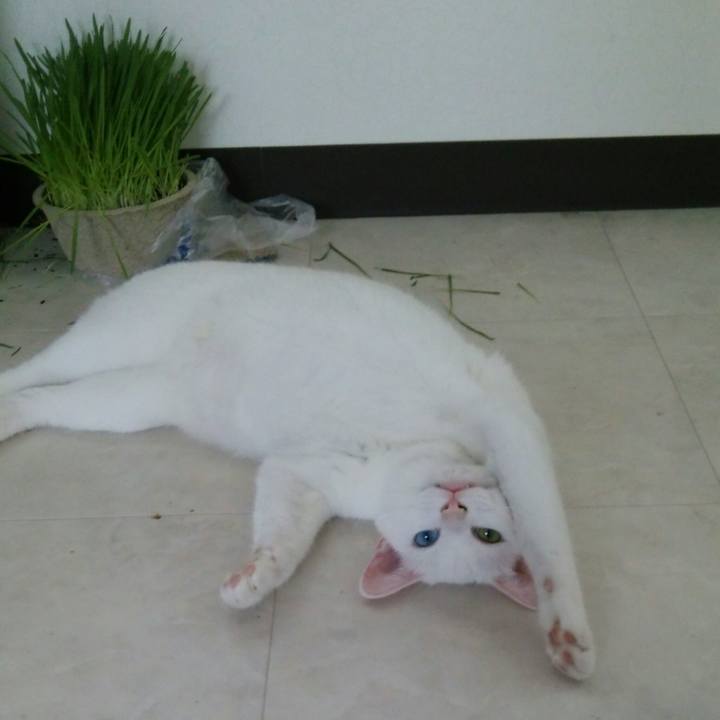 Dd8f9aff 1d2c 4363 9762 dca2f07fdee2