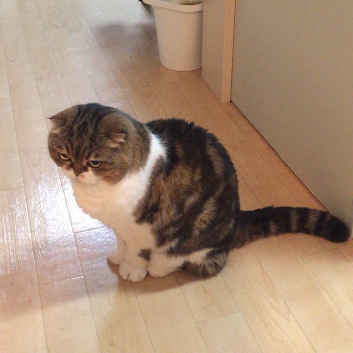 Dd8fb516 2316 4fa2 8c74 cc67cc0459bf