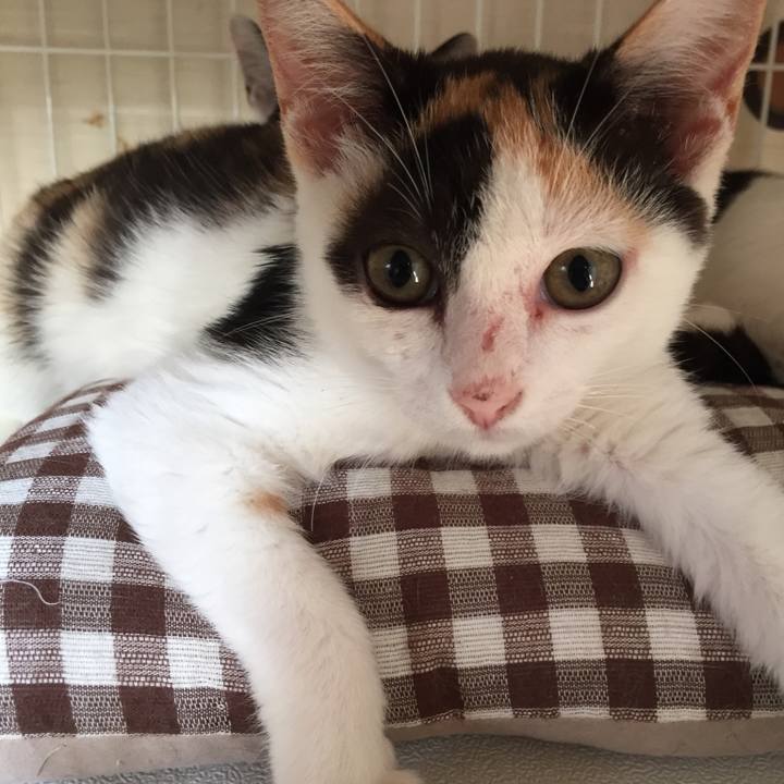 Dd8fb99f aa4e 4fb2 b97e 46bac99f5785