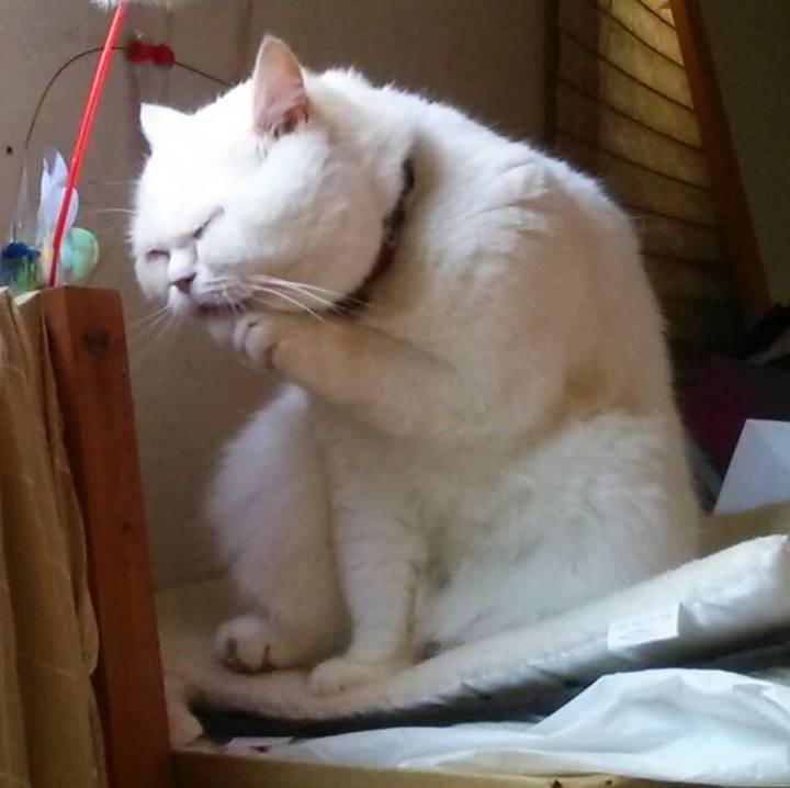 Dd8fc8ac 857f 411d afb4 f9617f1591a3