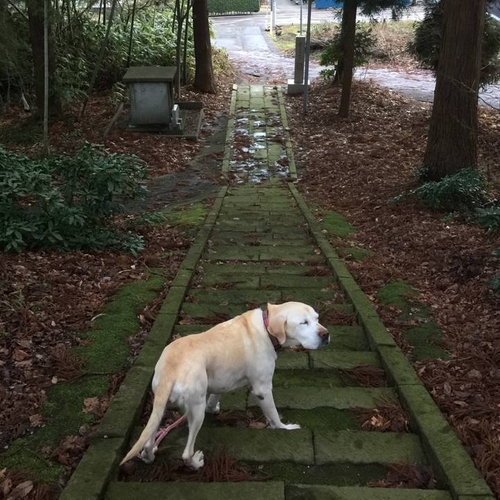 Dd8fedac 93a7 410b 9663 7aaf02657789