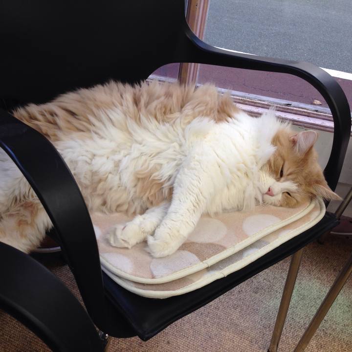 Dd8fff11 f3f1 4c14 8878 ecf0bce9e435