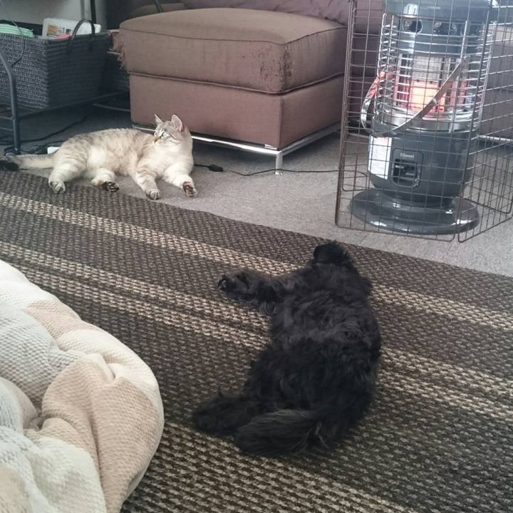 Dd900fb3 83b0 4340 9d12 8658d0a4ad6b