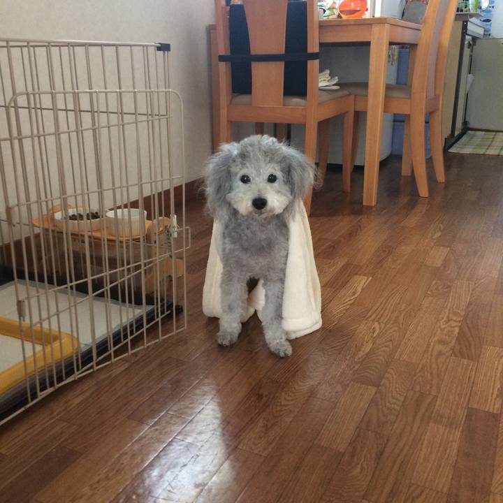 Dd90b07f 1269 4cc7 98e1 4bc32f55e101