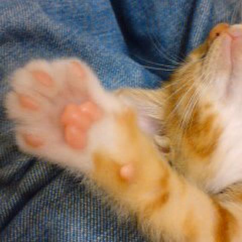 Dd90b5a2 32e8 4ab6 a18f adc0a53466b0