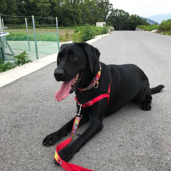 Dd91ffaa 3012 45fc b02f c16b0198d848