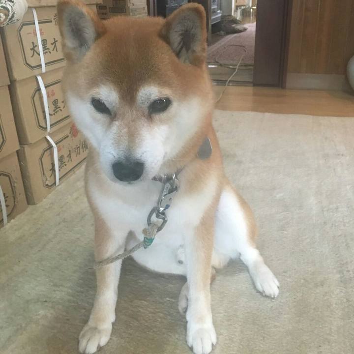 Dd92f5d1 4a86 4c80 8b21 cca8f9f269e2